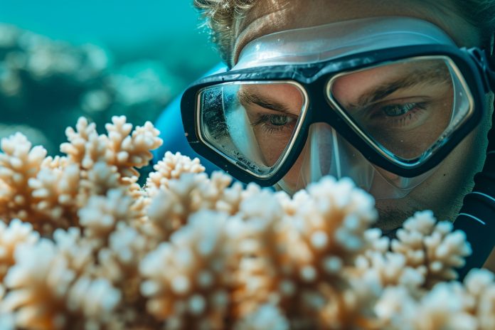 Comment sélectionner un équipement de snorkeling respectueux des océans ?